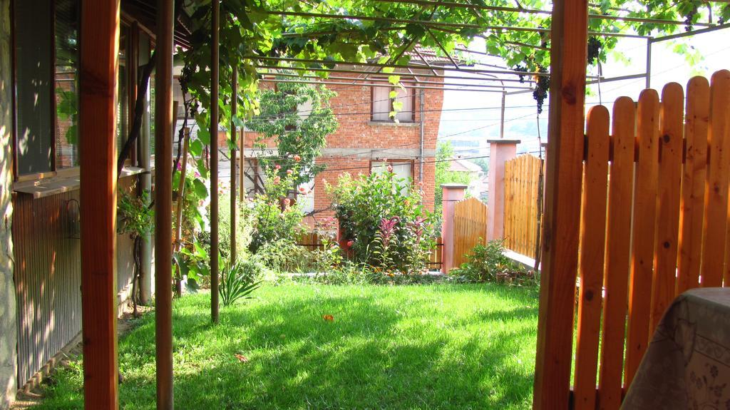Guesthouse Elena Belogradchik Εξωτερικό φωτογραφία