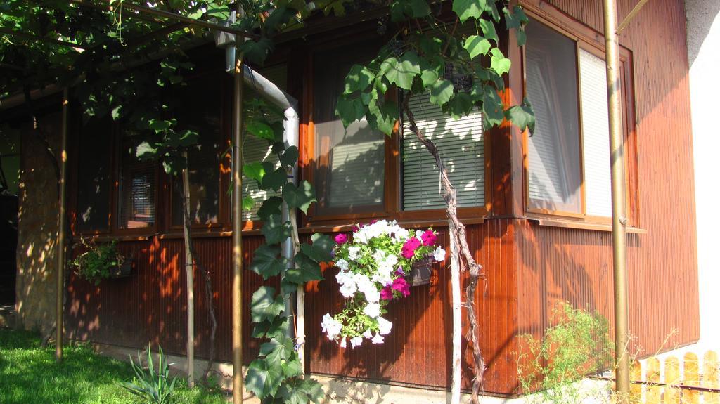Guesthouse Elena Belogradchik Εξωτερικό φωτογραφία